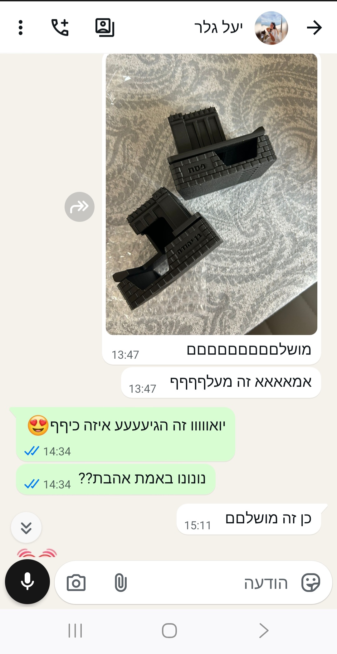 ביקורת