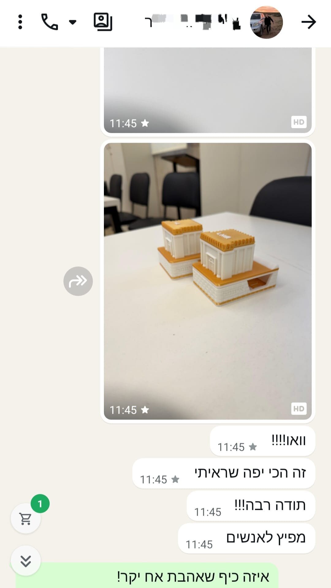 ביקורת